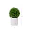 10&#x22; Artificial Boxwood Topiary Plant with Decorative Planter